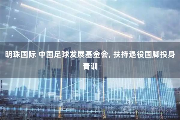 明珠国际 中国足球发展基金会, 扶持退役国脚投身青训
